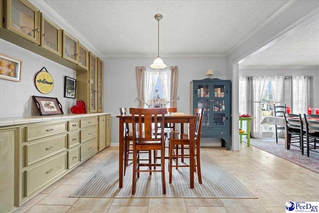 dining space with ornamental molding, a textured ceiling, and a wealth of natural light