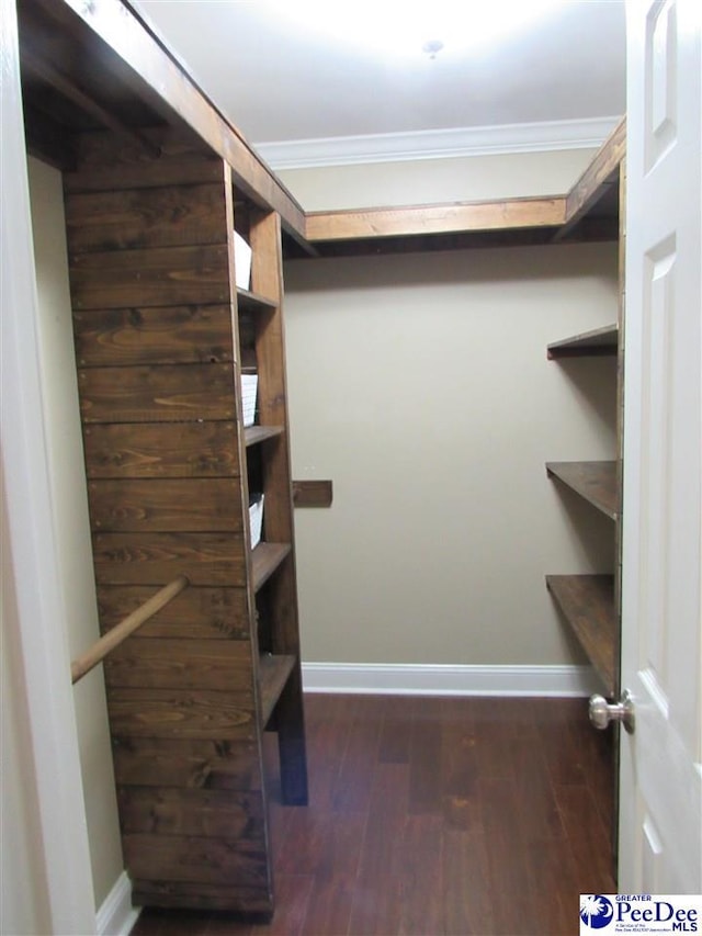 walk in closet featuring wood finished floors