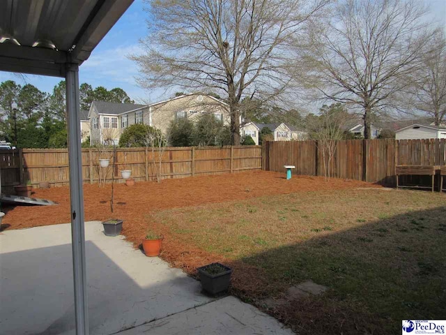 view of yard with a patio area and a fenced backyard