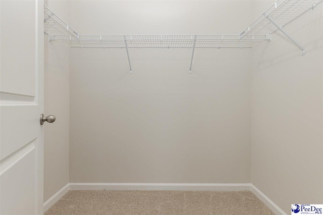 563 Strawberry Field Way, Galivants Ferry, SC 29544 - spacious closet with light carpet