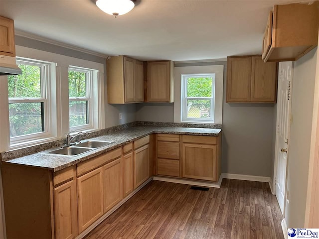 kitchen featuring sink and dark hardwood / wood-style floors