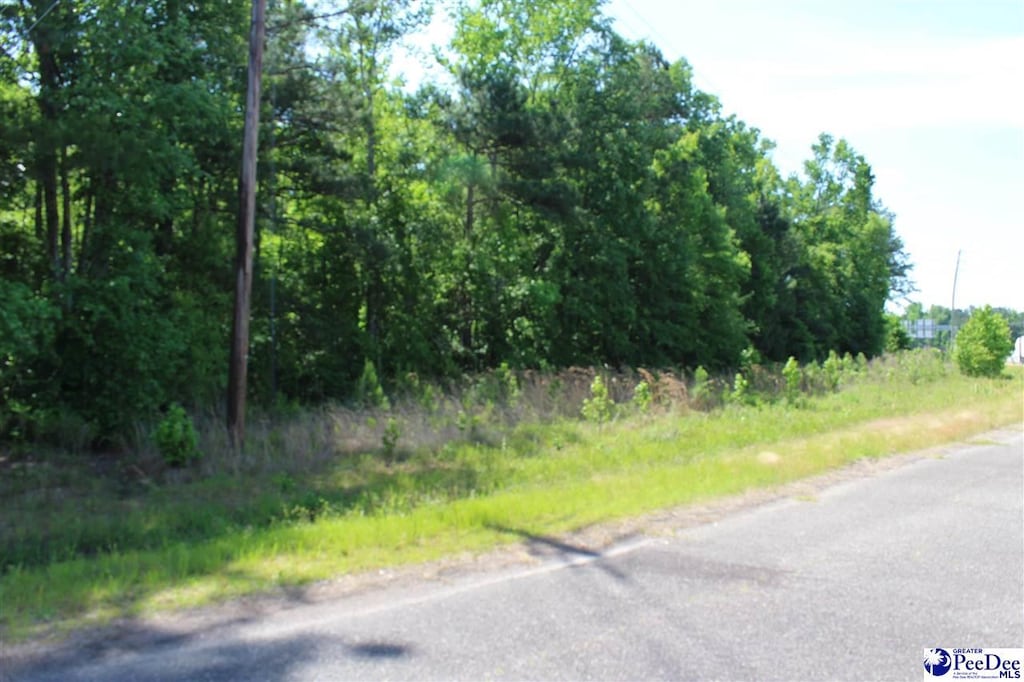 Lot Galveston Court, Marion, SC 29571 - photo 1