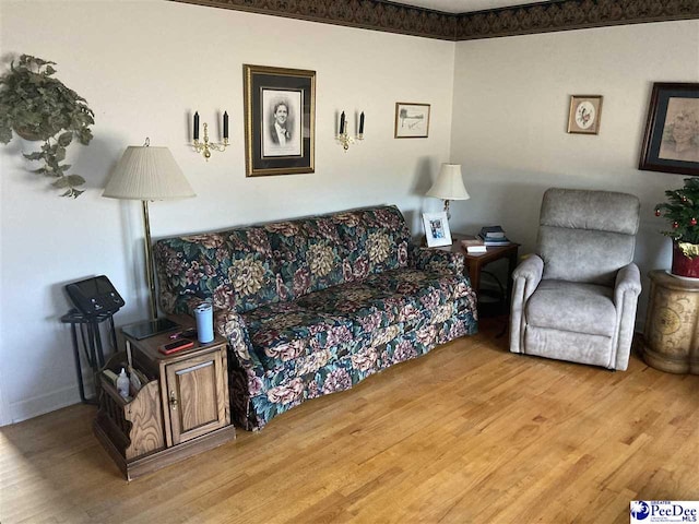 living room featuring hardwood / wood-style floors