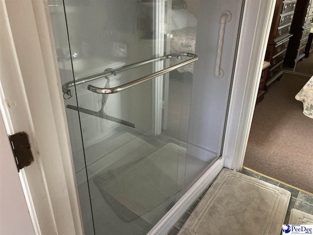 bathroom featuring a shower with shower door