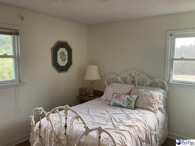 bedroom featuring multiple windows