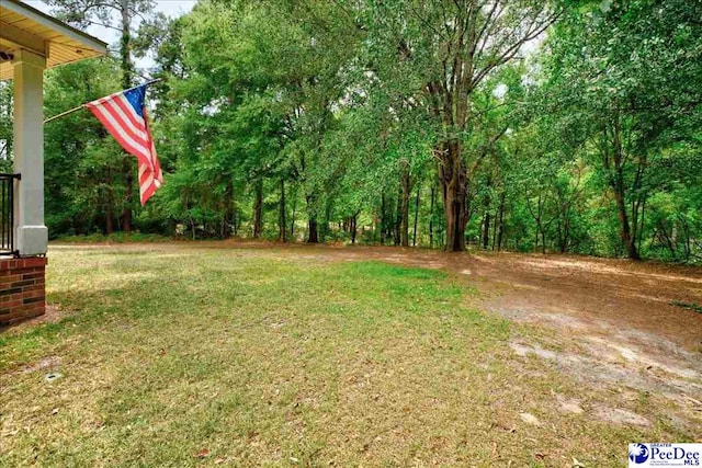 721 Hillcrest Rd, Hartsville, SC 29550 - photo 44