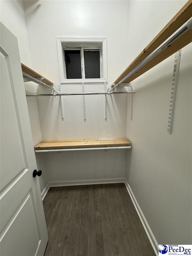 spacious closet with dark hardwood / wood-style flooring