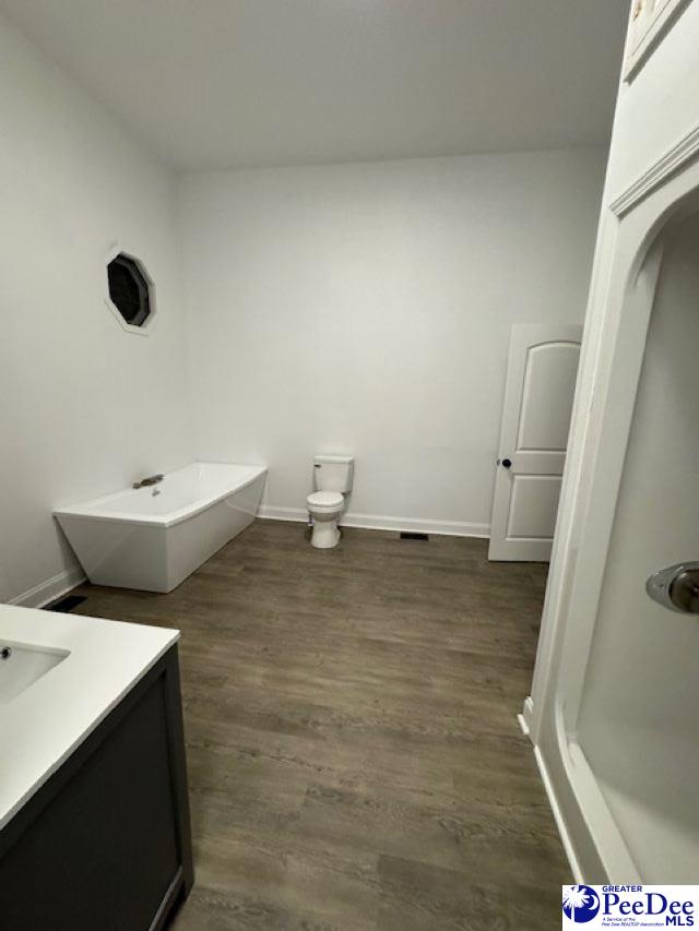 bathroom with vanity and wood-type flooring