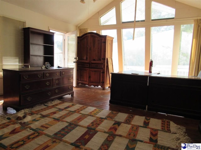 bedroom featuring lofted ceiling, dark hardwood / wood-style flooring, and multiple windows