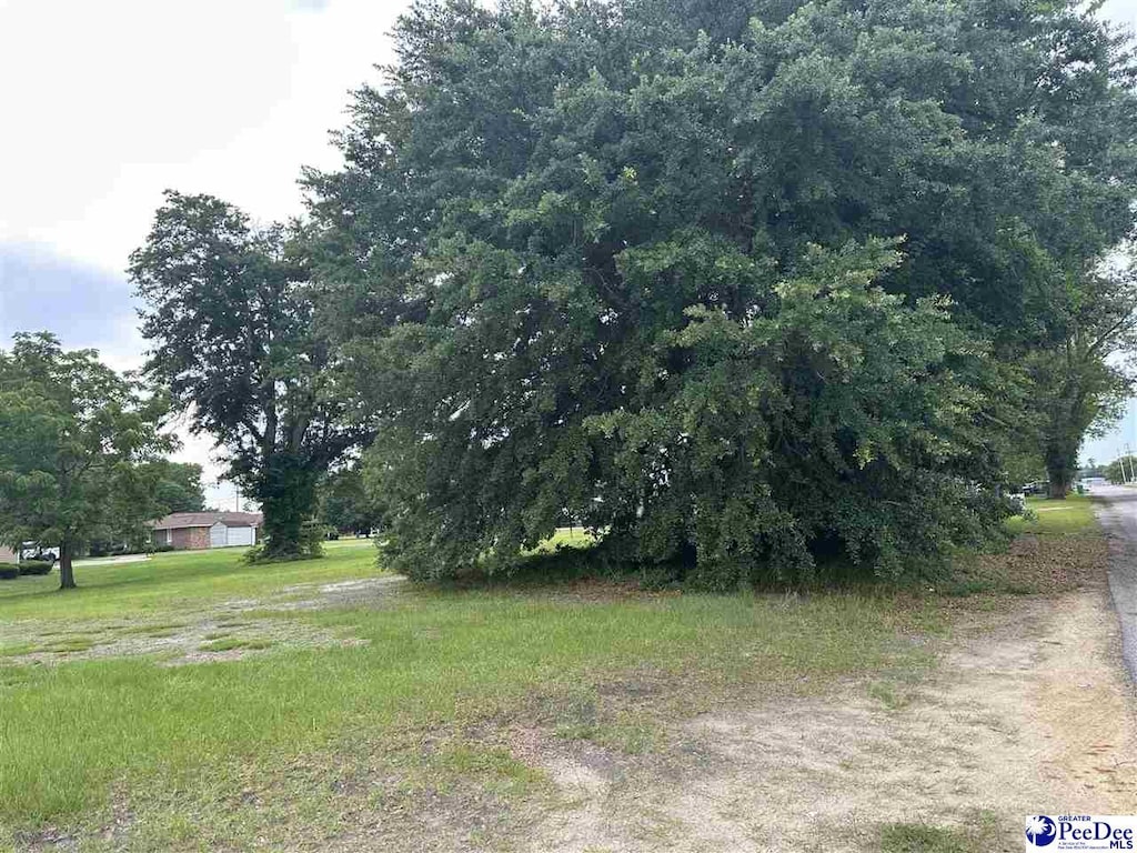 LOTS3 Atkinson St, Turbeville, SC 29162