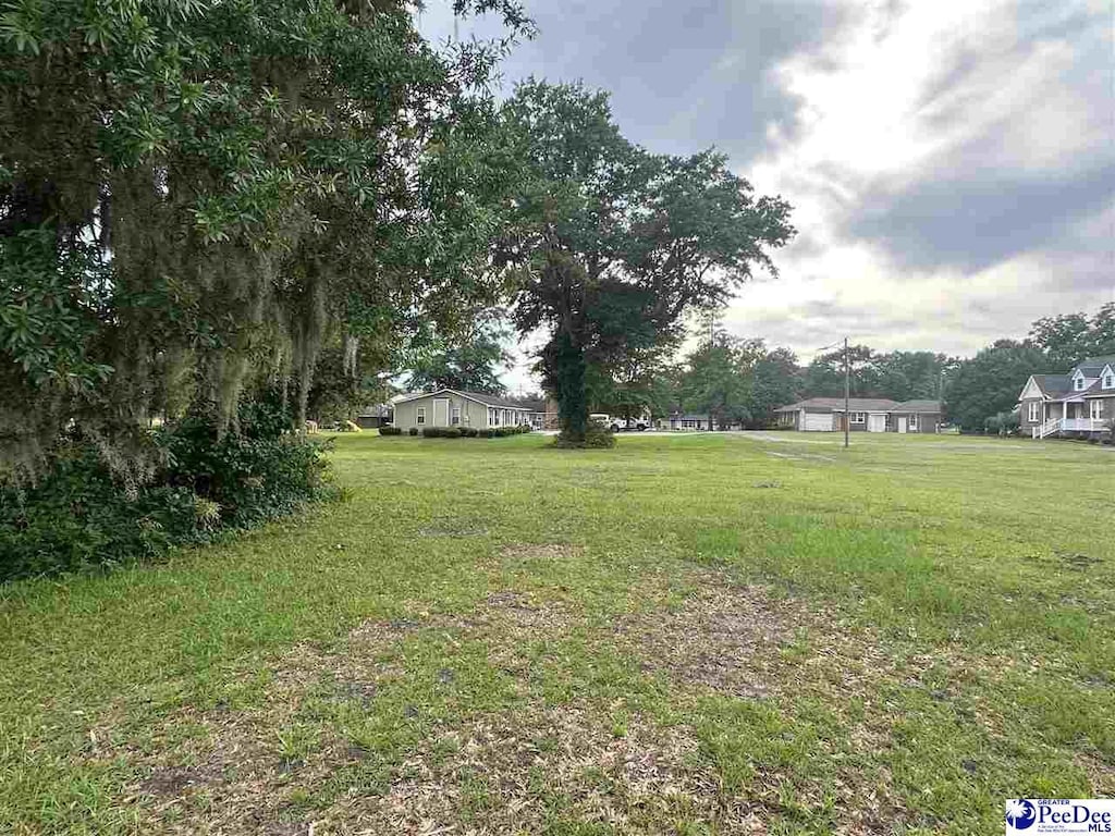 LOTS3 Atkinson St, Turbeville, SC 29162
