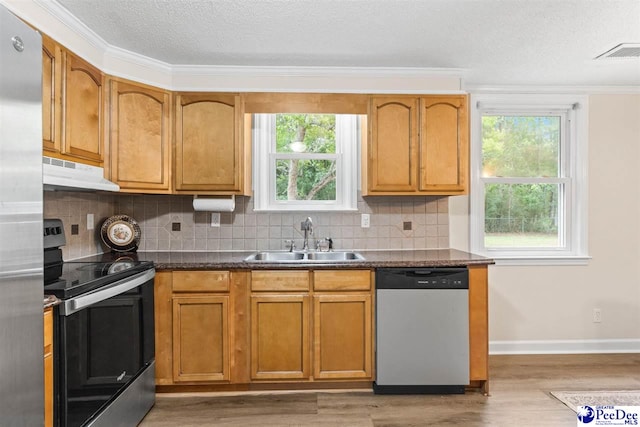 kitchen with stainless steel appliances, under cabinet range hood, a sink, decorative backsplash, and light wood finished floors