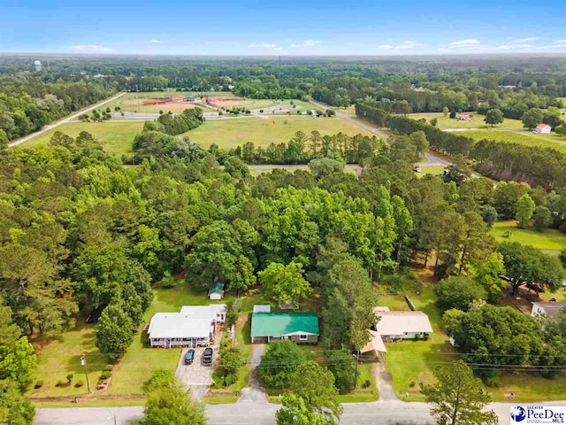 bird's eye view