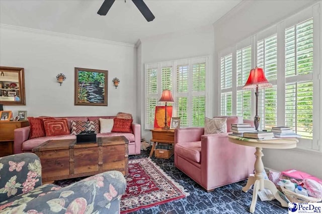 130 Nez Perce Dr, Darlington, SC 29532 - living area featuring ornamental molding, ceiling fan, and plenty of natural light