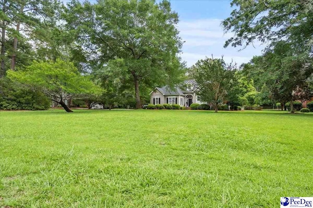 130 Nez Perce Dr, Darlington, SC 29532 - view of grassy yard
