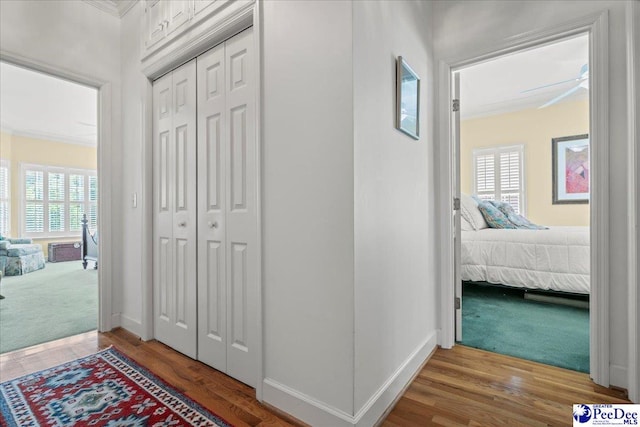 130 Nez Perce Dr, Darlington, SC 29532 - corridor featuring healthy amount of natural light, wood finished floors, and ornamental molding