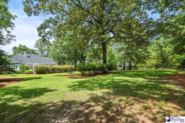130 Nez Perce Dr, Darlington, SC 29532 - view of green lawn