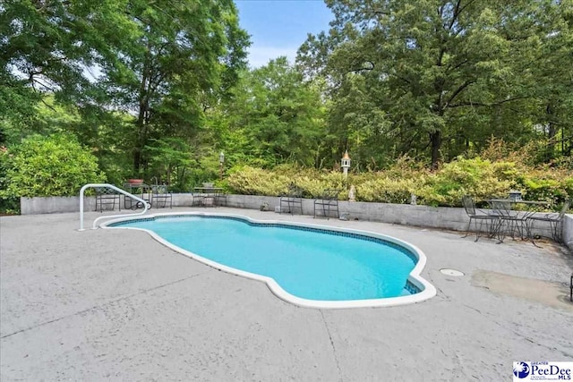 130 Nez Perce Dr, Darlington, SC 29532 - outdoor pool featuring a patio