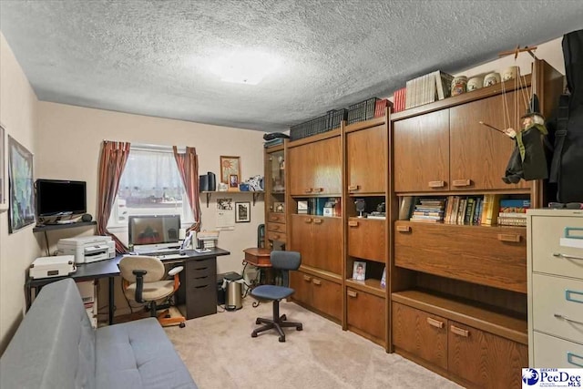 office with a textured ceiling and light colored carpet