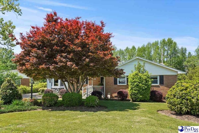 view of property hidden behind natural elements featuring brick siding and a front lawn