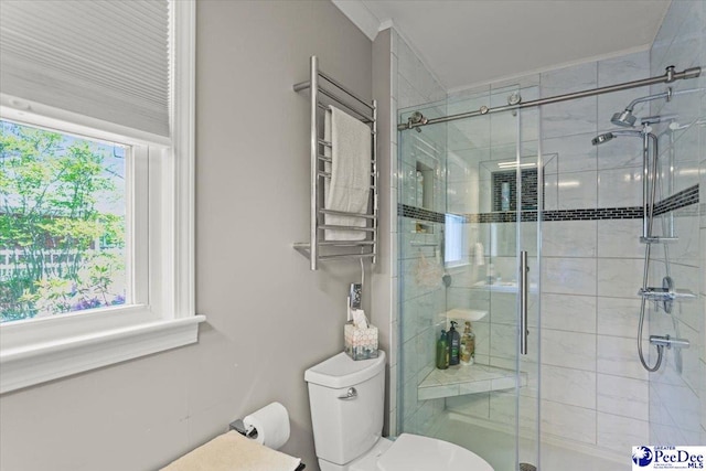 full bathroom featuring toilet and a shower stall