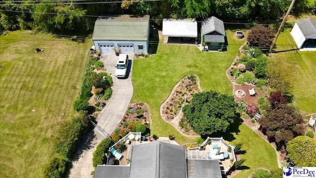 bird's eye view