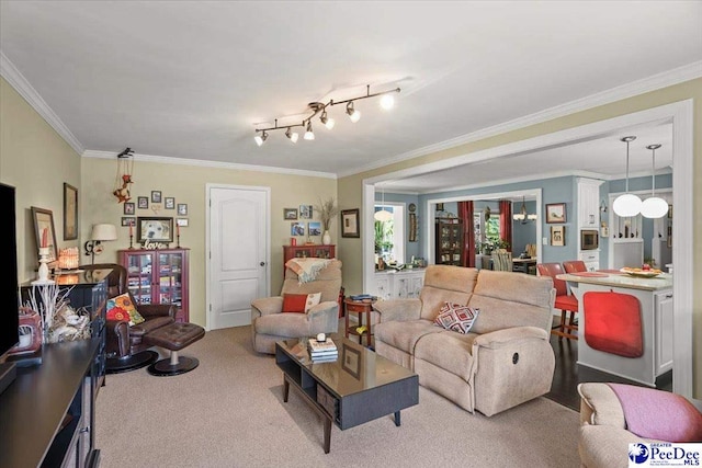 living room featuring ornamental molding and carpet flooring