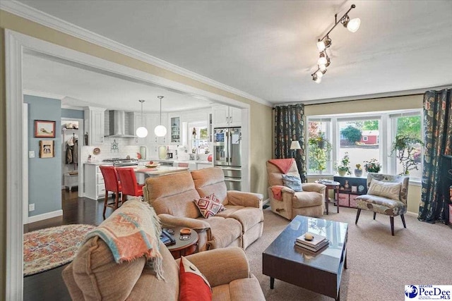living area featuring crown molding, rail lighting, and baseboards