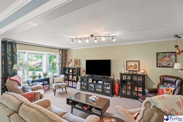 living area with crown molding and carpet floors