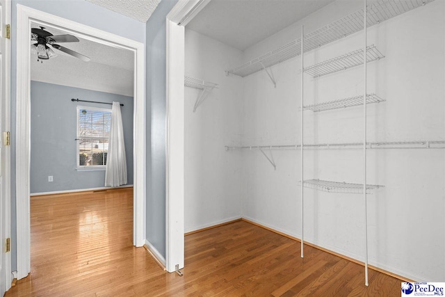 spacious closet featuring ceiling fan and wood-type flooring