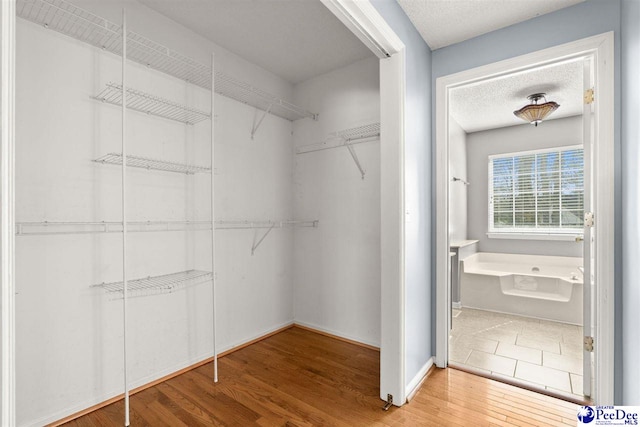 walk in closet with hardwood / wood-style floors