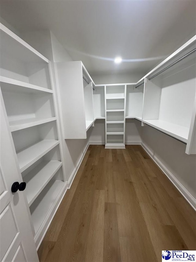 walk in closet with dark wood finished floors