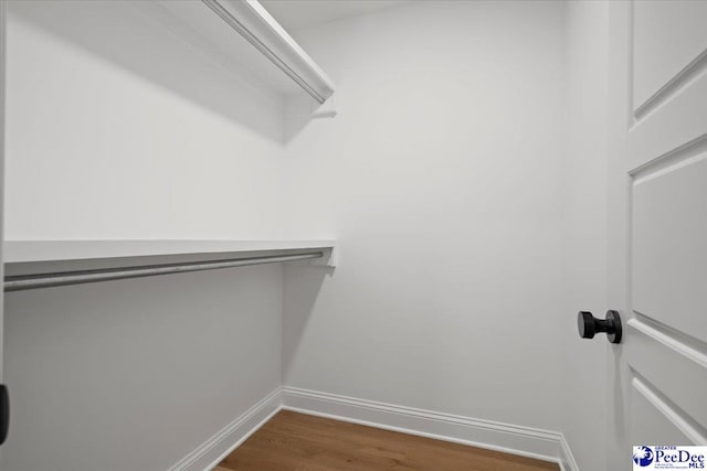 spacious closet featuring dark wood finished floors