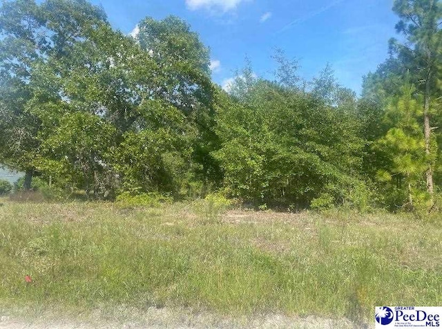 TBD Mapletree Dr, Dillon SC, 29563 land for sale