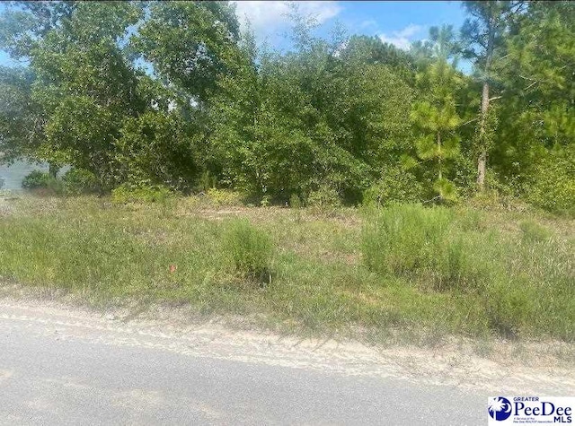 Listing photo 2 for TBD Mapletree Dr, Dillon SC 29563