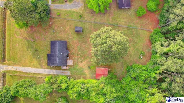 bird's eye view