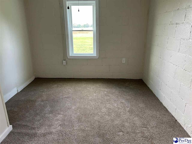 565 Davids Pond Rd, Bennettsville, SC 29512 - empty room featuring carpet flooring