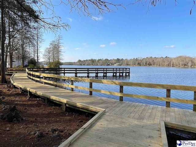 dock area featuring a water view