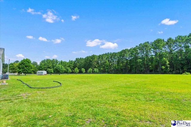6380 Langston Rd, Timmonsville, SC 29161 - photo 33