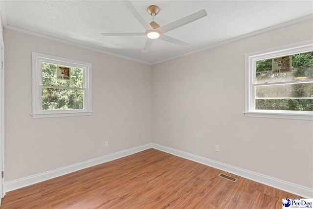 936 Whitehall Shores Rd, Florence, SC 29501 - photo 31