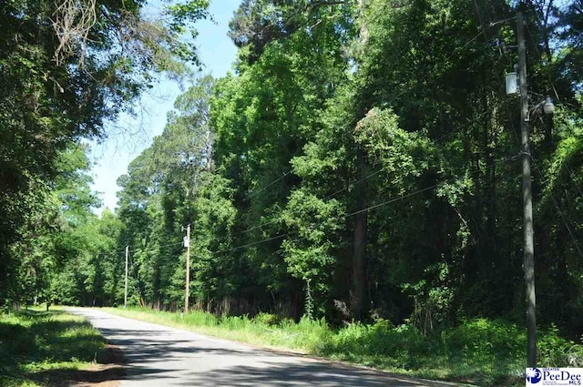TBDLOTS3H Branchwood Rd, Clio, SC 29525 - photo 1