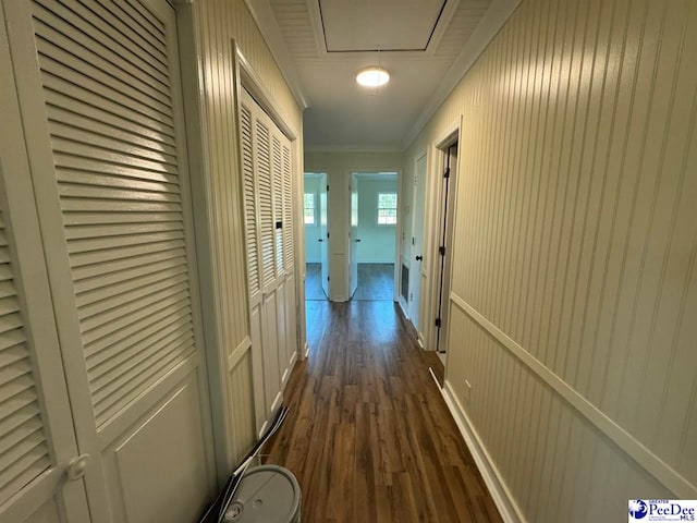 hall featuring crown molding and dark hardwood / wood-style floors