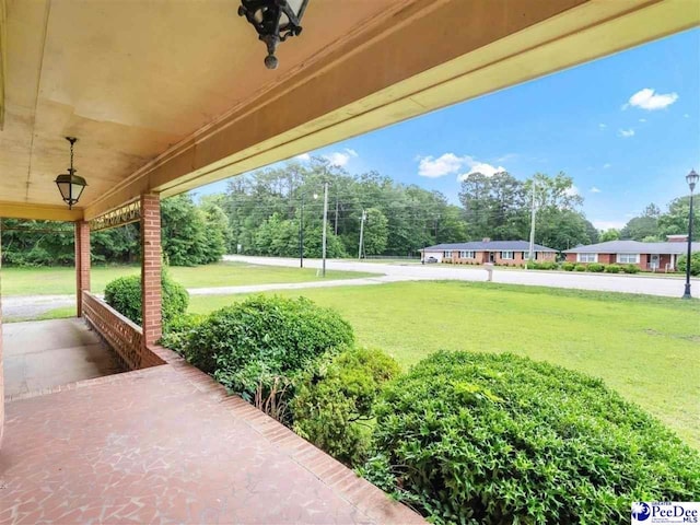 1709 N Irby St, Florence, SC 29501 - view of patio