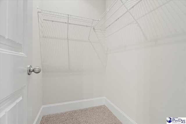 spacious closet with carpet flooring