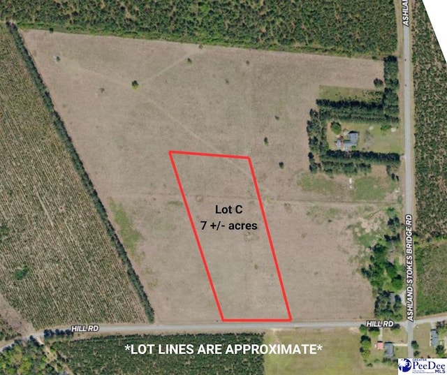 LotC Hill Road, Bishopville SC, 29010 land for sale