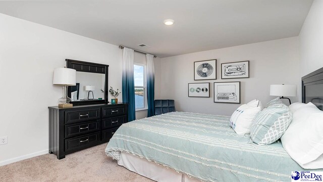 586 Strawberry Field Way, Galivants Ferry, SC 29588 - photo 26