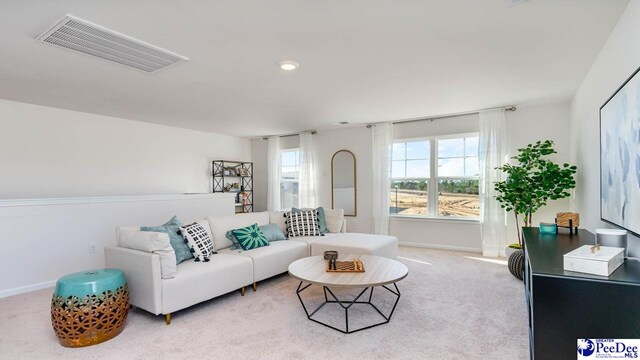 586 Strawberry Field Way, Galivants Ferry, SC 29588 - photo 20