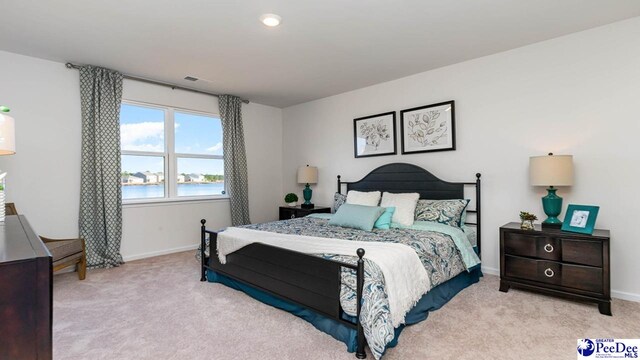 586 Strawberry Field Way, Galivants Ferry, SC 29588 - photo 14