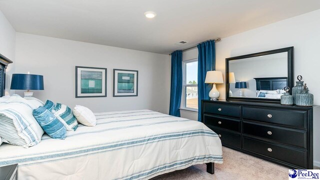 586 Strawberry Field Way, Galivants Ferry, SC 29588 - photo 23
