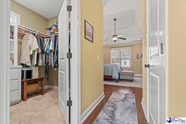 walk in closet featuring ceiling fan, a raised ceiling, and light wood-type flooring